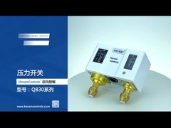 ステンレス鋼の水ポンプのための二重調節可能な圧力スイッチ