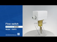 液体流量測定 パドル感知要素付き流量スイッチ -20C-120C 温度範囲